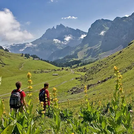 Otel National & Champéry